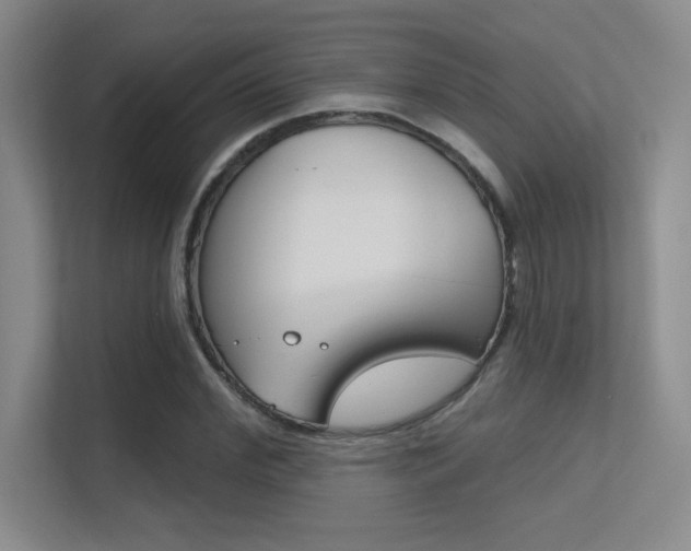 X0000112390972200908131340