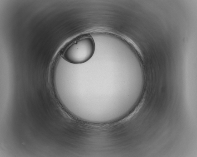 X0000112390973200908131340