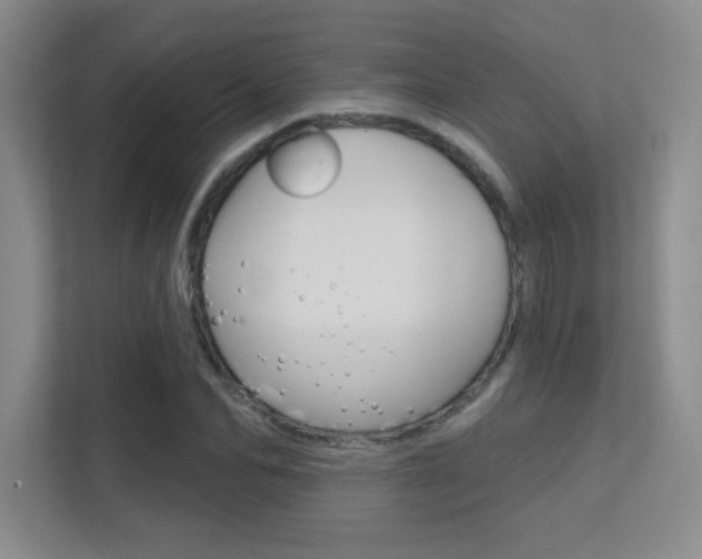 X0000112390974200908131340