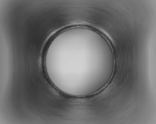 X0000112390975200908131340