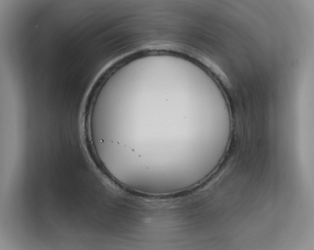 X0000112390976200908131340