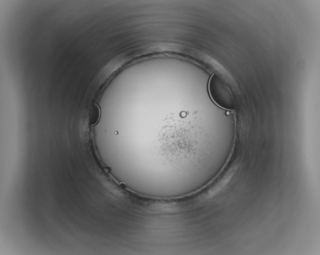 X0000112390977200908131340