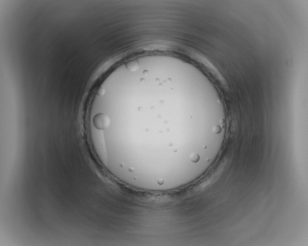 X0000112390978200908131340