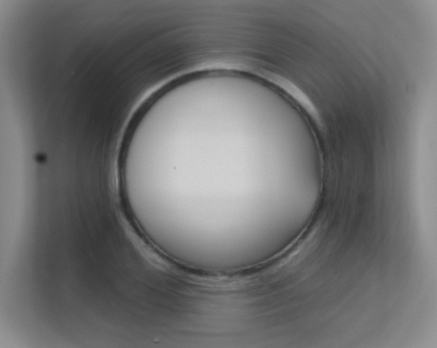 X0000112390980200908131340