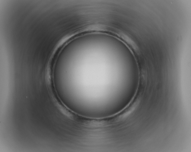 X0000112390981200908131340