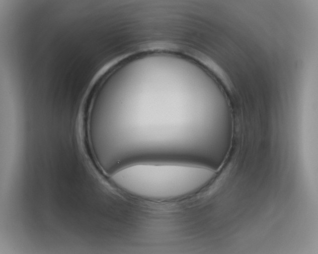 X0000112390983200908131340