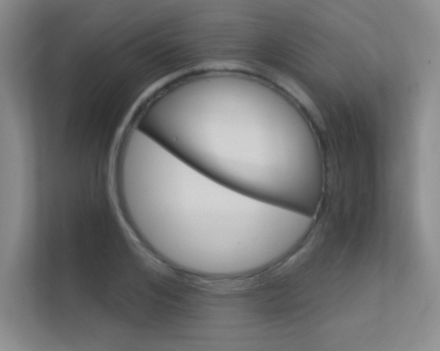 X0000112390984200908131340