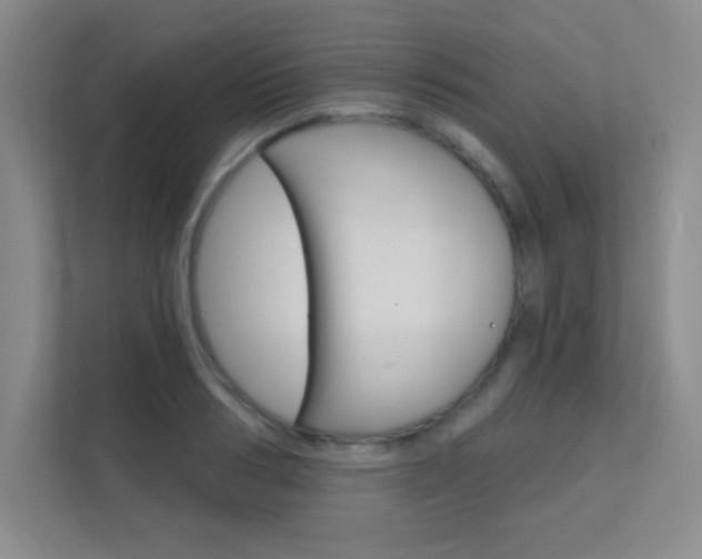 X0000112390986200908131340