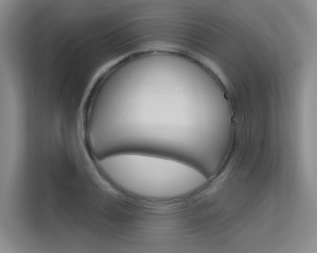 X0000112390987200908131340