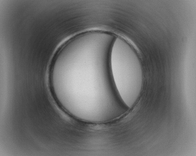 X0000112390991200908131340