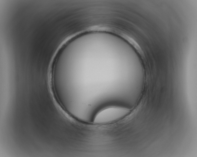 X0000112390992200908131340