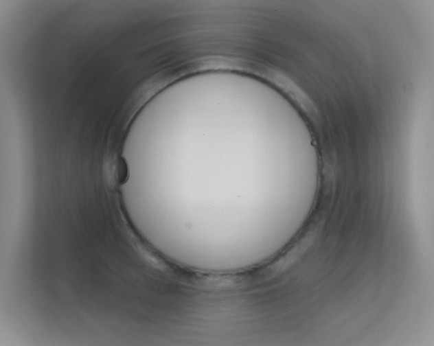 X0000112390993200908131340