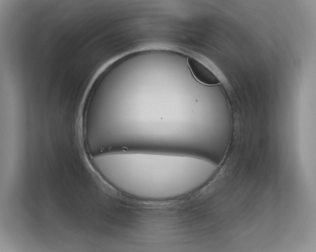 X0000112390996200908131340