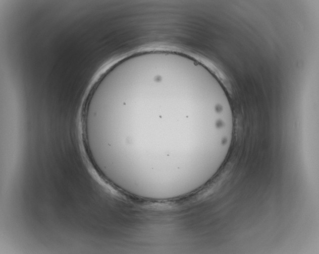 X0000112390998200908131340