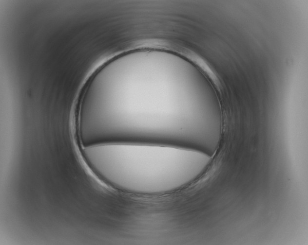 X0000112390999200908131340