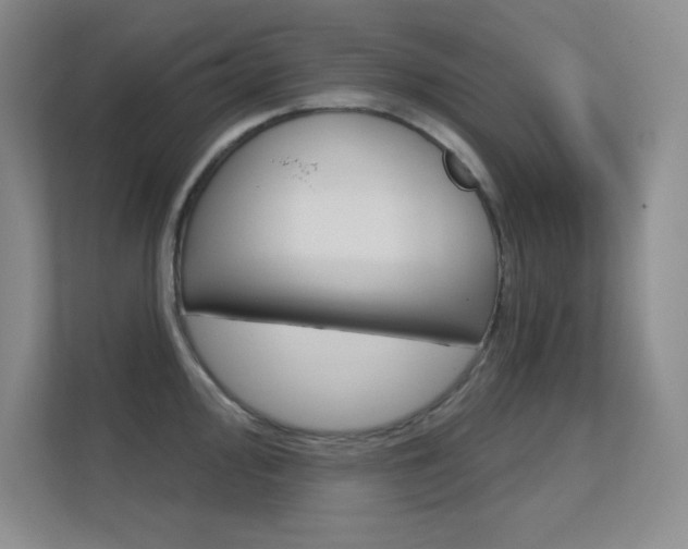 X0000112391000200908131340