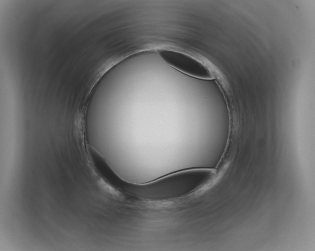 X0000112391001200908131340