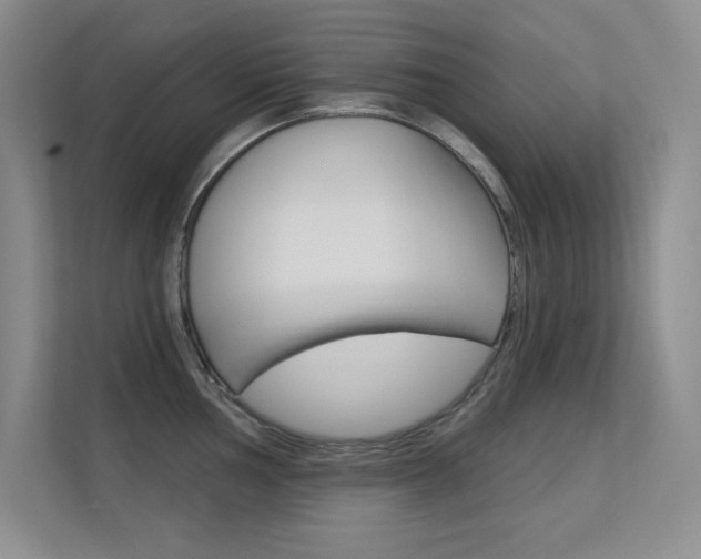 X0000112391002200908131340
