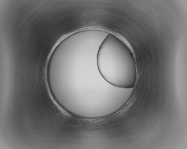 X0000112391005200908131340