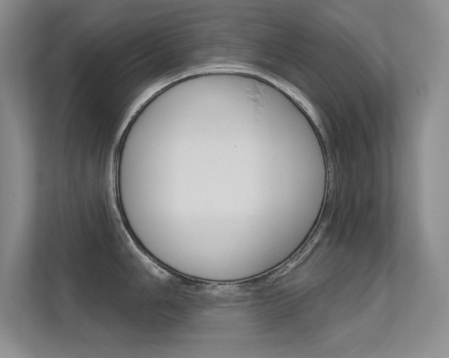 X0000112391006200908131340