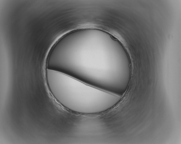 X0000112391008200908131340