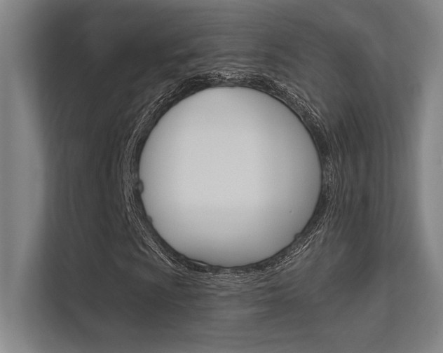 X0000112391009200908131339