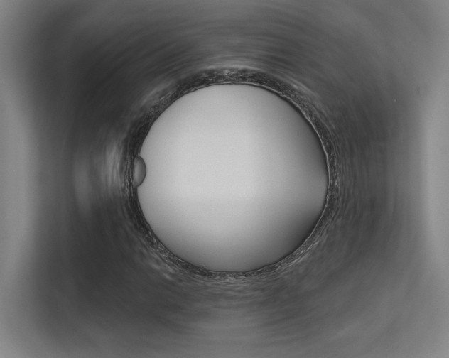 X0000112391014200908131339