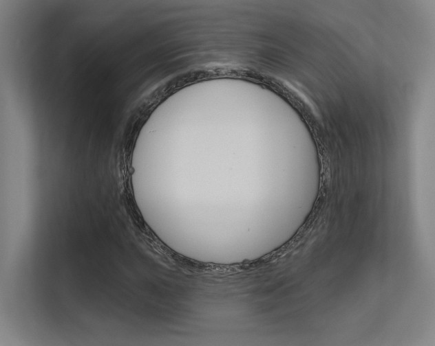 X0000112391015200908131339