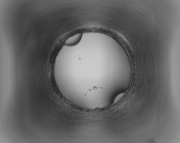 X0000112391016200908131339