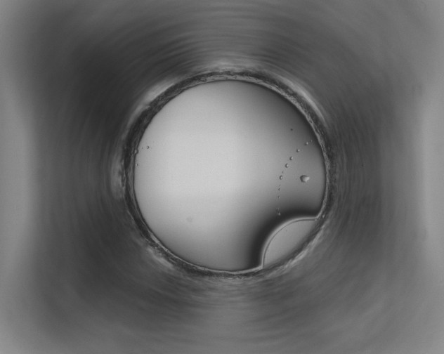 X0000112391018200908131339