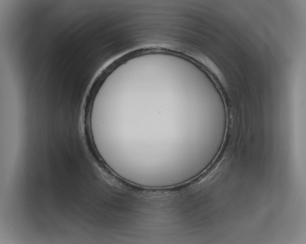 X0000112391020200908131339