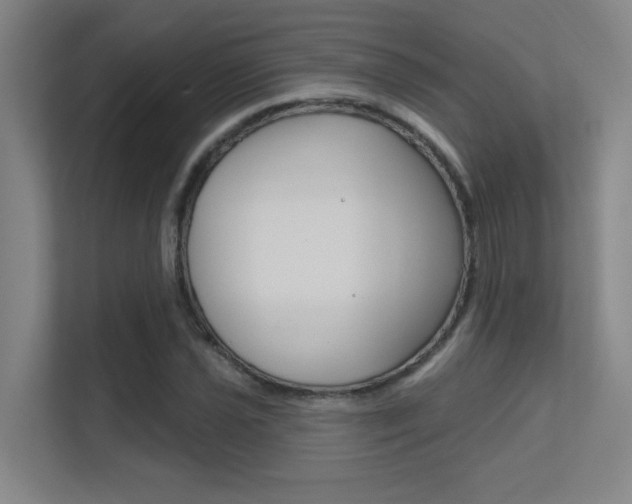 X0000112391021200908131339
