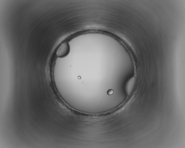 X0000112391022200908131339