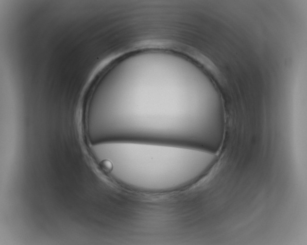 X0000112391030200908131339