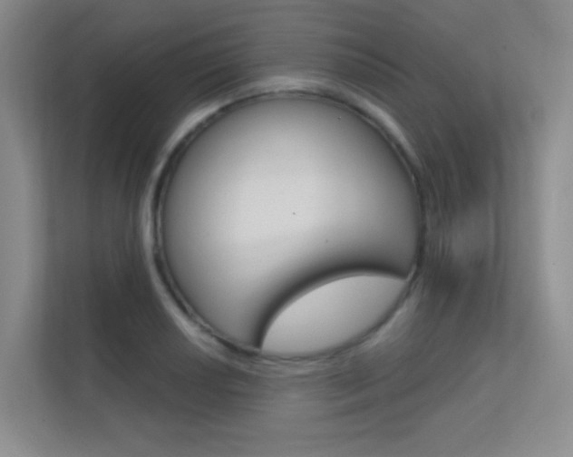 X0000112391034200908131339
