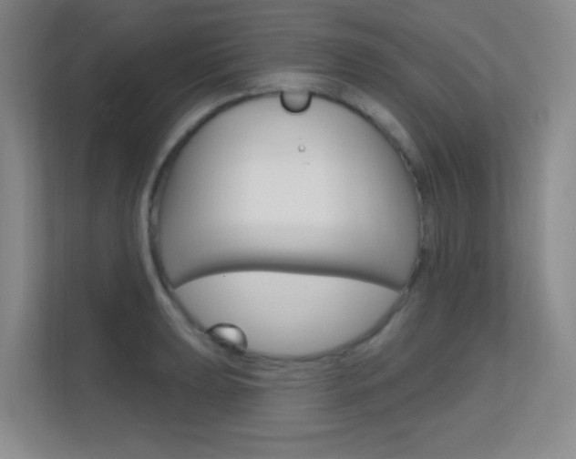 X0000112391039200908131340