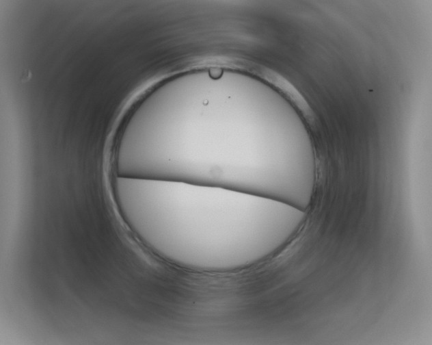 X0000112391043200908131340