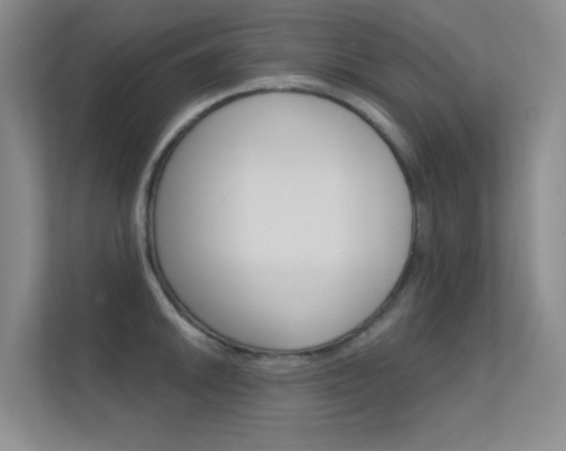 X0000112391046200908131340