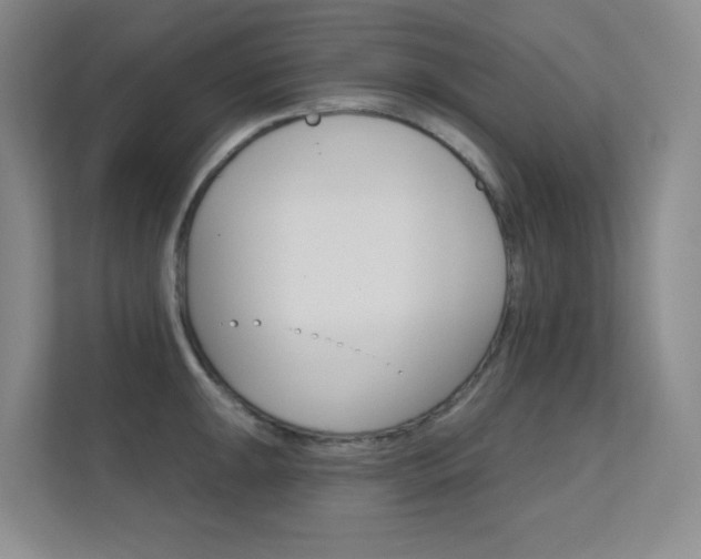 X0000112391047200908131340