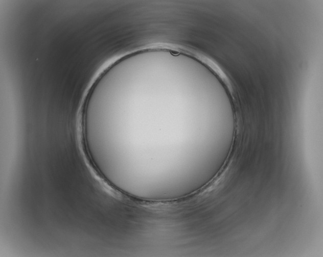 X0000112391048200908131340