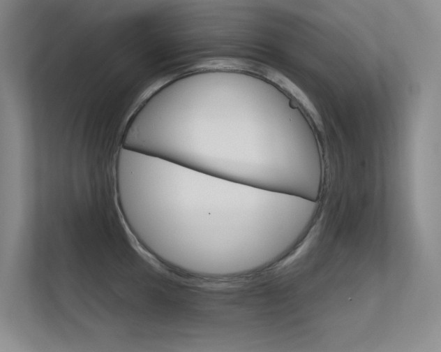 X0000112391049200908131340