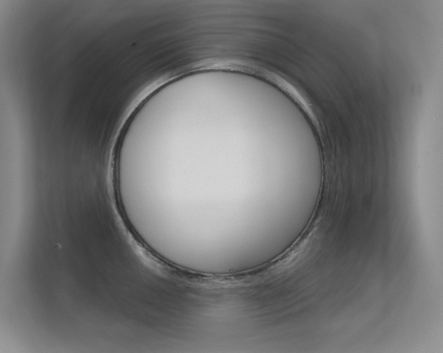 X0000112391050200908131340