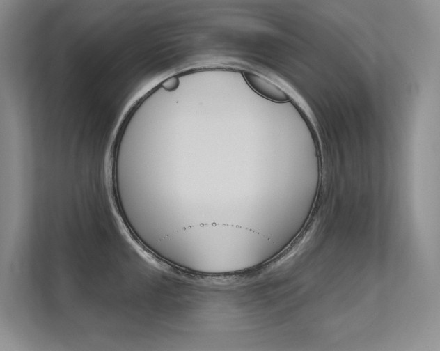 X0000112391053200908131340