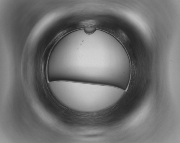 X0000112391054200908131340