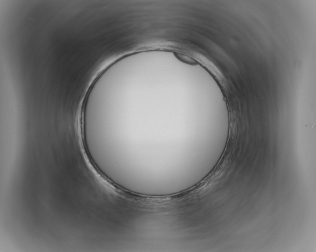 X0000112391055200908131340