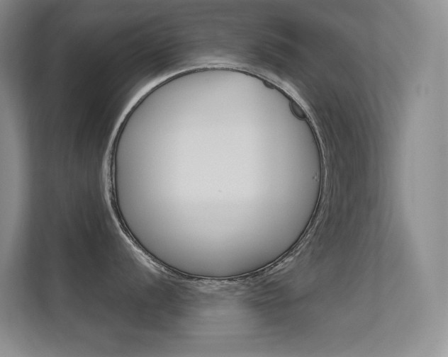 X0000112391056200908131340