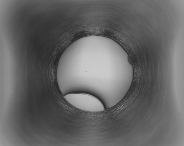 X0000112391058200908131339