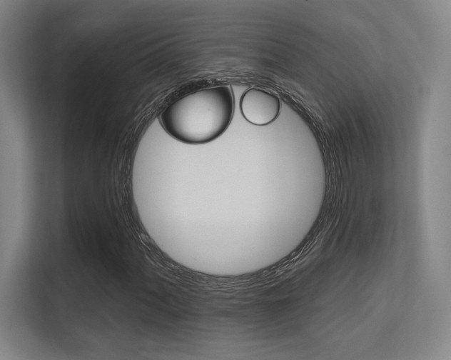 X0000112391060200908131339