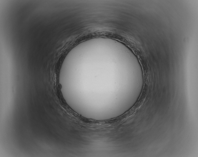 X0000112391061200908131339