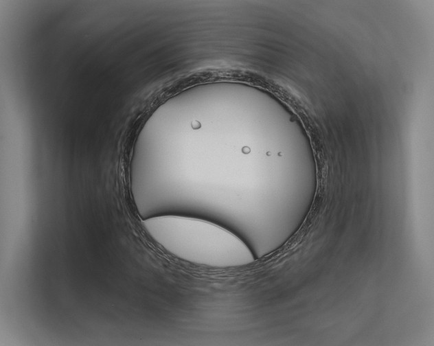 X0000112391062200908131339
